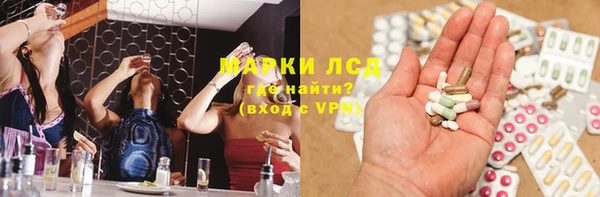 ПСИЛОЦИБИНОВЫЕ ГРИБЫ Няндома