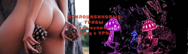 МДПВ Армянск