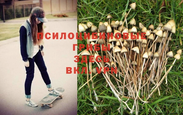 МДПВ Армянск