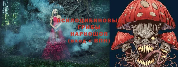 МДПВ Армянск