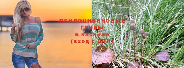 крисы Арсеньев
