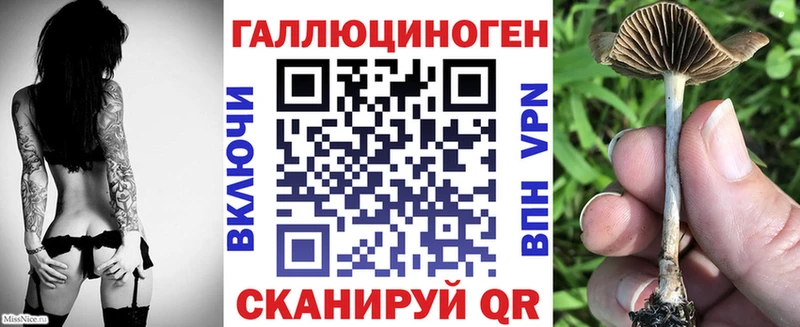 наркотики  Темрюк  Псилоцибиновые грибы Psilocybine cubensis 
